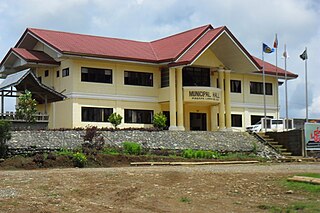 <span class="mw-page-title-main">Piagapo</span> Municipality in Lanao del Sur, Philippines