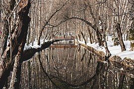 Reflexos no Covão d'Ametade