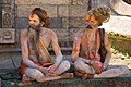 Sadhu im Pashupatinath - Tempel