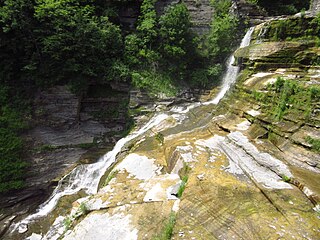 <span class="mw-page-title-main">Robert H. Treman State Park</span> State park in New York, United States