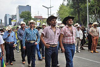 <span class="mw-page-title-main">Gay cowboy</span> LGBT slang term