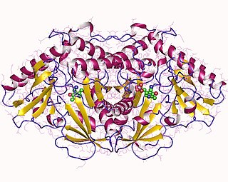 <span class="mw-page-title-main">Tryptophan transaminase</span>