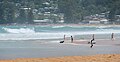 Avoca Beach, New South Wales- facing south towards Surf Club