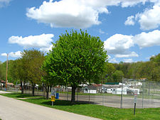 Bancroft Community Park in the spring.