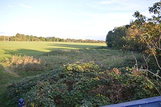 <span class="mw-page-title-main">Coldham's Common</span> Nature reserve in Cambridge, England