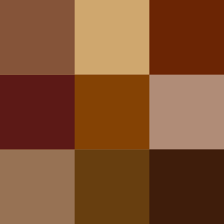 <span class="mw-page-title-main">Shades of brown</span> Varieties of the color brown