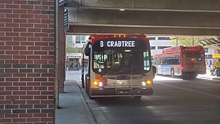 <span class="mw-page-title-main">GoRaleigh</span> Transit system in Raleigh, North Carolina, USA