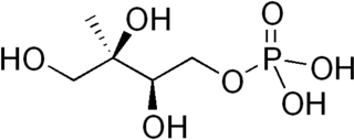 2-<i>C</i>-Methylerythritol 4-phosphate Chemical compound