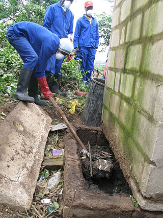 <span class="mw-page-title-main">Sanitation worker</span> Person who is responsible for the cleaning and maintaining of a sanitation technology