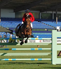 Manuel Añón mit Baldo DS, CSI 5* Hamburg 2011