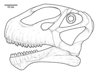 <i>Mierasaurus</i> Extinct genus of dinosaurs