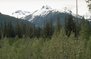 <span class="mw-page-title-main">Canadian Cascade Arc</span> Canadian segment of the North American Cascade Volcanic Arc