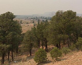 <span class="mw-page-title-main">Navajo, New Mexico</span> Census-designated place in McKinley County, New Mexico, United States