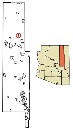 Location of Pinon in Navajo County, Arizona.