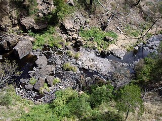 Paddys River (South West Slopes, New South Wales)