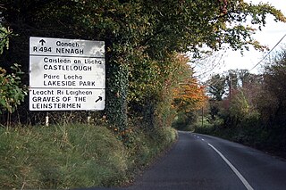 <span class="mw-page-title-main">R494 road (Ireland)</span> Road in Ireland