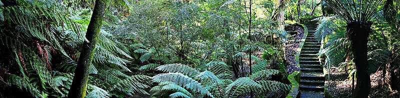 Ogród botaniczny w Australii