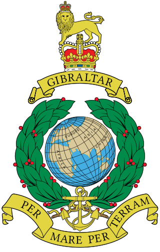 <span class="mw-page-title-main">Royal Marines</span> Maritime land warfare force of the United Kingdom