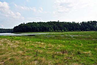 Windpuddinglake2.jpg