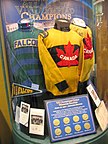 Winnipeg Falcons Jersey.jpg