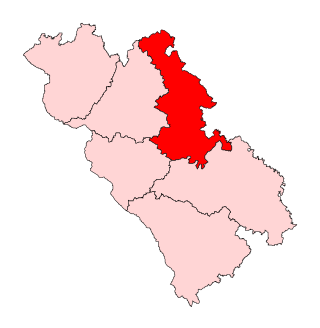 <span class="mw-page-title-main">Mohan Assembly constituency</span> Constituency of the Uttar Pradesh legislative assembly in India