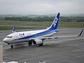 ANA(Air Nippon) Boeing 737-700