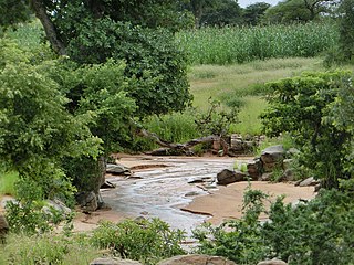 <span class="mw-page-title-main">Wildlife of Sudan</span>