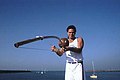 Brazil. Berimbau musical bow with gourd resonator. Tapped with stick to play. String also vibrates caxixi wrattle.