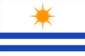 Bandeira de Palmas