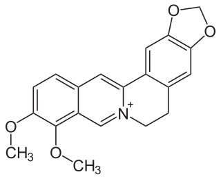 <span class="mw-page-title-main">Berberine</span> Quaternary ammonium cation