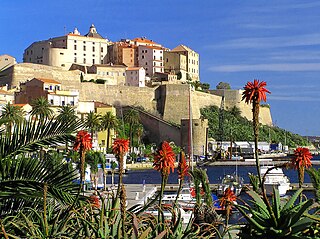 <span class="mw-page-title-main">Calvi, Haute-Corse</span> Subprefecture and commune in Corsica, France