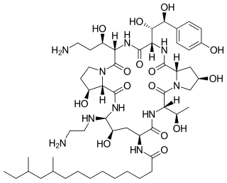 <span class="mw-page-title-main">Caspofungin</span> Antifungal medication