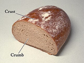 <span class="mw-page-title-main">Crust (baking)</span> Hard outer edge of breads or pie crusts