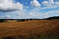 * Nomination Hågadalen ("the Håga Valley") outside Uppsala, Sweden. /Julle 07:42, 30 August 2011 (UTC) * Decline Tilted to the left, landscape underexposed (difficult light conditions, though). --Quartl 07:05, 1 September 2011 (UTC)