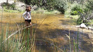 <span class="mw-page-title-main">Ingeegoodbee River</span> River in Victoria, Australia