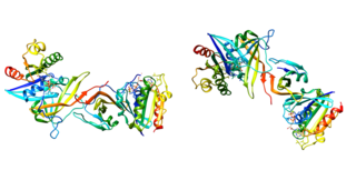 <span class="mw-page-title-main">KIF23</span> Protein-coding gene in the species Homo sapiens