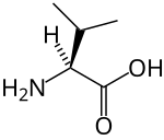 Valine L-valine-skeletal.svg