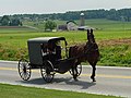 Image 39An Amish family riding in a traditional Amish buggy in Lancaster County; Pennsylvania has the largest Amish population of any state. (from Pennsylvania)