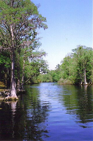 <span class="mw-page-title-main">Lumber River</span> River in North Carolina, United States