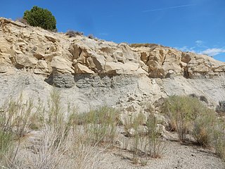 <span class="mw-page-title-main">Ojo Alamo Formation</span> Geologic formation in New Mexico