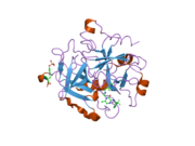 2bxu: DESIGN AND DISCOVERY OF NOVEL, POTENT THROMBIN INHIBITORS WITH A SOLUBILIZING CATIONIC P1-P2-LINKER