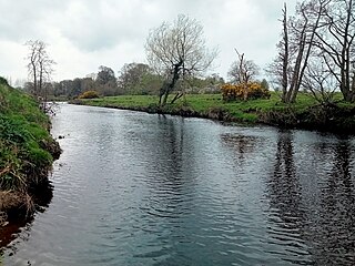 <span class="mw-page-title-main">River Roe</span> River in Northern Ireland