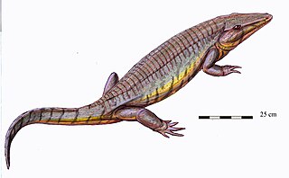 <span class="mw-page-title-main">Chroniosuchia</span> Extinct order of tetrapods