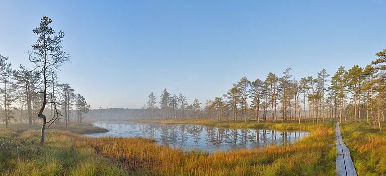 Sunrise at Viru Bog, Estonia. 14 December 2013. Photo by commons:user:Abrgetj47.