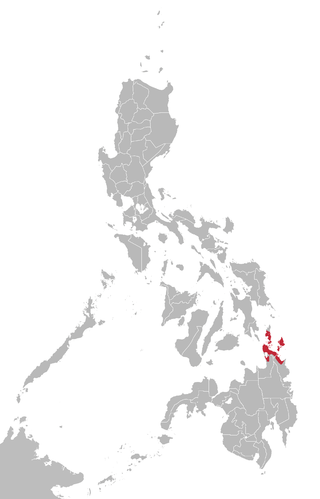 <span class="mw-page-title-main">Surigaonon language</span> Austronesian language of the Philippines