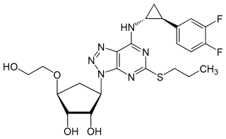 <span class="mw-page-title-main">Ticagrelor</span> Coronary medication