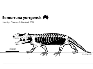 <i>Eomurruna</i> Extinct genus of reptiles