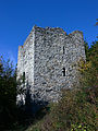 Ruins of the tower