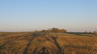 Bono Township, Lawrence County, Indiana Township in Indiana, United States