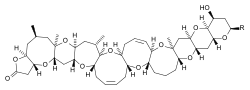 Brevetoxin A, a natural product with ten rings, all fused, and all heterocyclic, and a toxic component associated with the organisms responsible for red tides. The R group at right refers to one of several possible four-carbon side chains (see main Brevetoxin article; non-aromatic).